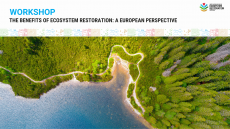 The benefits of ecosystem restoration: A European perspective